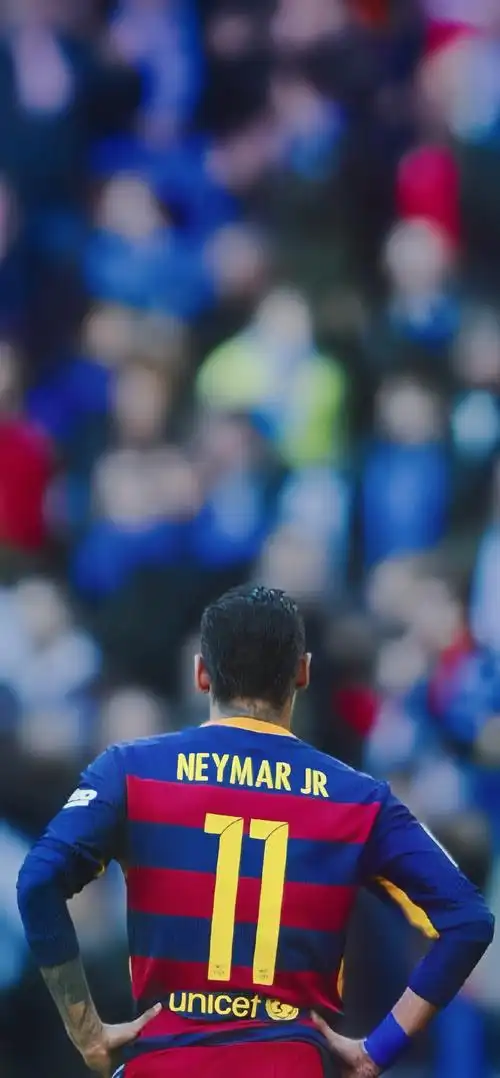 卡内达教练 卡内达教练